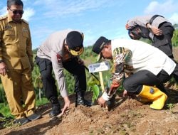 Jaga Ekosistem Alam, Forkopimda Sulbar Kompak Menanam Pohon