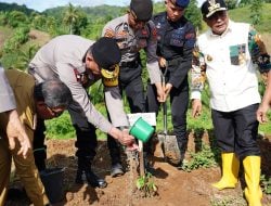 Hari Lingkungan Hidup Sedunia, Kapolda Sulbar Bersama Forkopimda Tanam Ratusan Pohon