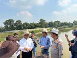 Kebersamaan Mentan dan Wakapolri Cek Kesiapan Hewan Kurban Jelang Idul Adha