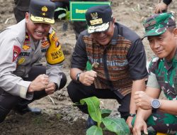 Tanam Pohon di Kalukku, Wakapolda Sulbar : Gerakan Penghijauan Punya Manfaat Besar Jangka Panjang