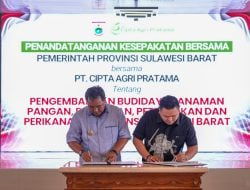 Pemprov Teken MoU, Gandeng PT.CAP Jalankan Bisnis Pisang Cavendish di Sulbar