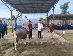 Idul Adha 1445 Hijriah, Lanal Mamuju Berbagi Daging Qurban dengan Masyrakat