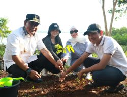 Sinergi Menanam Pohon, Forkopimda Sulbar Sasar Wilayah Kepulauan