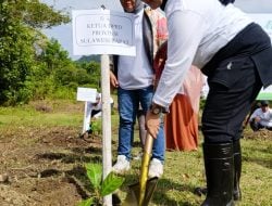 Dorong Ekosistem Ekonomi Hijau, DPRD Sulbar Gelar Tanam Pohon dan Jalan Santai