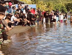 Lepas Tukik dan Karang Buatan, Pj Gubernur Sulbar Apresiasi Gerakan Peduli Lingkungan di Mamuju