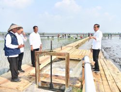 Presiden Jokowi bersama Mentan Amran Tinjau Akselerasi Pompanisasi di Lampung