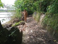 Jaringan Irigasi Rusak, Garapan Sawah Ratusan Hektar di Desa Paku Terhambat