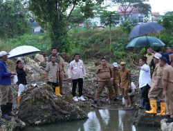 PJ Bahtiar Kembangkan Budidaya Ikan Nila di Sulbar