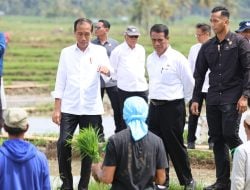 Petani Sebut Jokowi dan Mentan Amran Berkah Bagi Kemajuan Pertanian Indonesia