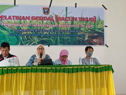 Kendalikan Hama Tikus Melaui Gerdal