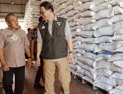 Bapanas Tinjau Gudang Bulog Mamuju, Stok Beras Aman Hingga Akhir Tahun, Bantuan Pangan Beras Siap Salur 1 Agustus