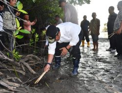 HUT RI, Pemprov Sulbar Lepas Ribuan Kepiting Sebagai Upaya Merdeka Dari Kemiskinan