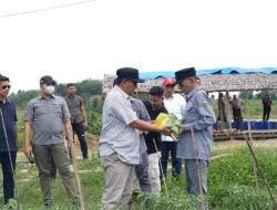 Prihatin Kondisi Perkebunan Hortikultura di Luyo, PJ Bahtiar Bakal Kirim 1.000 Sukun untuk Ditanam