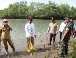 Sulbar 20 Tahun, Pemprov Ajak Masyarakat Sepekan Menanam Mangrove