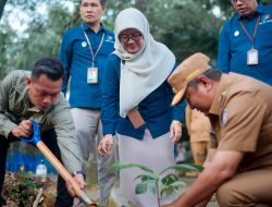 Hari Statistik, BPS Sulbar Gelar Tanam Pohon Sukun