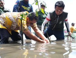 Tanam Mangrove Menyambut Hari Jadi, Sulbar Selamatkan Bumi Dari Pemanasan Global