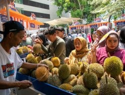 Kelompok Petani Durian di Pekalongan Makin Berkembang Berkat Pemberdayaan BRI