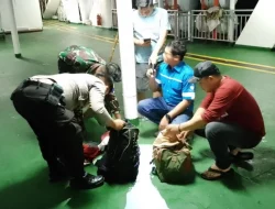 Seorang Penumpang KM Laskar Pelangi Melompat ke Laut, Hingga Kini Belum Ditemukan