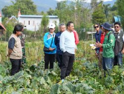 Melihat Potensi Hortikultura Nosu, Bahtiar Baharuddin Optimis Lebih Cepat Wujudkan Swasembada Pangan