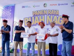 Pupuk Kaltim Pacu Produktivitas Buah Naga Banyuwangi