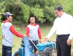 Produksi Meningkat Saat Paceklik, Strategi Pompanisasi Mentan Dinilai Manjur