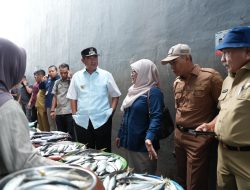 Cabai, Tomat dan Ikan Layang Penyumbang Inflasi, PJ Gubernur Lakukan Operasi Pasar