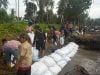 Cegah Abrasi di Pantai Mampie, Warga Gotong Royong Bangun Tanggul Darurat