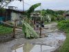 Tak Kunjung Dibenahi, Warga Tanam Pohon Pisang di Jalan Unsulbar