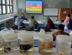 YSDS dan Perbankan Dukung Riset Unsulbar, Teliti Potensi Bakteri Mangrove jadi Obat Udang Vaname