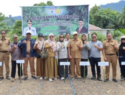 Gerakan Penanaman Serentak Agroforestry Pangan, Kepala Dinas TPHP Sulbar : Wujud Nyata Komitmen Bersama Tingkatkan Ketahanan Pangan