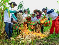 Program BRI Menanam – Grow & Green di Tanjung Prepat Berau Berhasil Serap Karbon 2.987 CO2e (Kg) per tahun dan Dorong Ekonomi Masyarakat