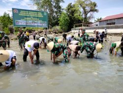 Danrem 142/Tatag Tanam 1.300 Mangrove di Pasangkayu