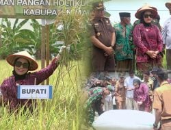 Bupati Komitmen Fokus Kembangkan Sektor Pertanian