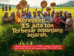 Tak Lagi Impor Beras, Serapan Bulog Januari–Mei Rekor Tertinggi dalam 57 Tahun