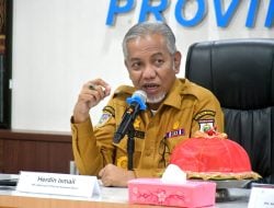 Harga Kelapa Naik Dua Kali Lipat, Herdin: Peluang Bagi Sulbar Tambah Areal Tanam
