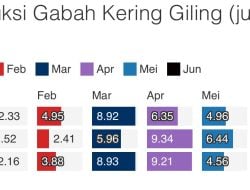 Harga Beras Internasional Anjlok, Indonesia Curi Perhatian Dunia
