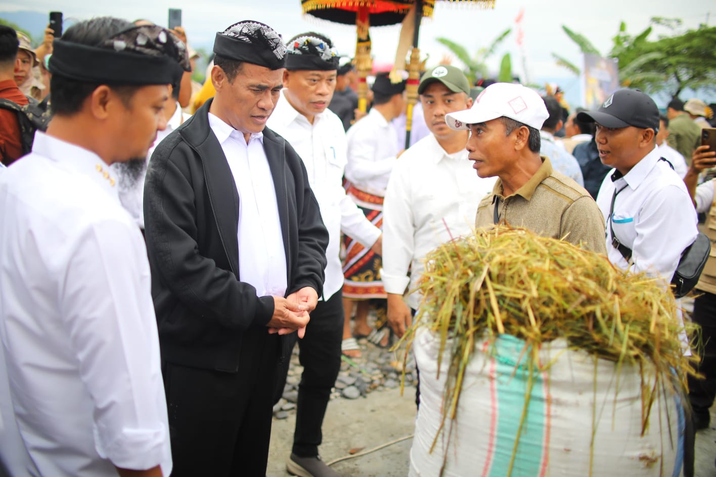 Mentan Amran Dorong Peningkatan Produksi Padi Luwu Timur