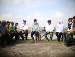 Kerja Nyata Untuk Petani, Mentan Amran Tuai Pujian Dari Presiden dan Wapres