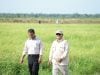Cadangan Beras Capai 4 Juta Ton, Mentan Amran Terima Kasih Kepada Petani