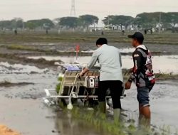 Viral! Wapres Gibran Tanam Padi Pakai Mesin Sambil Maju, Ternyata Ini Metode yang Digunakan