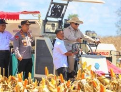 Bersama Mentan Amran Panen Raya di Kalbar, Presiden Prabowo Optimis Kemajuan Produksi Pangan