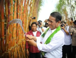 Mentan Amran Beberkan Enam Strategi Menuju Swasembada Gula