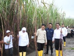 Pemerintah Tancap Gas Menuju Swasembada Gula: Mentan dan Wapres Gibran Kompak Dukung Petani Tebu