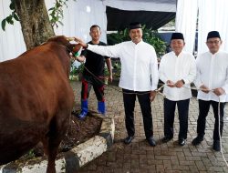 Pendistribusian Hewan Kurban BSI Capai 15.272 Ekor di Iduladha 1446 Hijriah