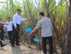 Target Swasembada, Wapres Gibran dan Mentan Amran Tawarkan Solusi untuk Petani Tebu