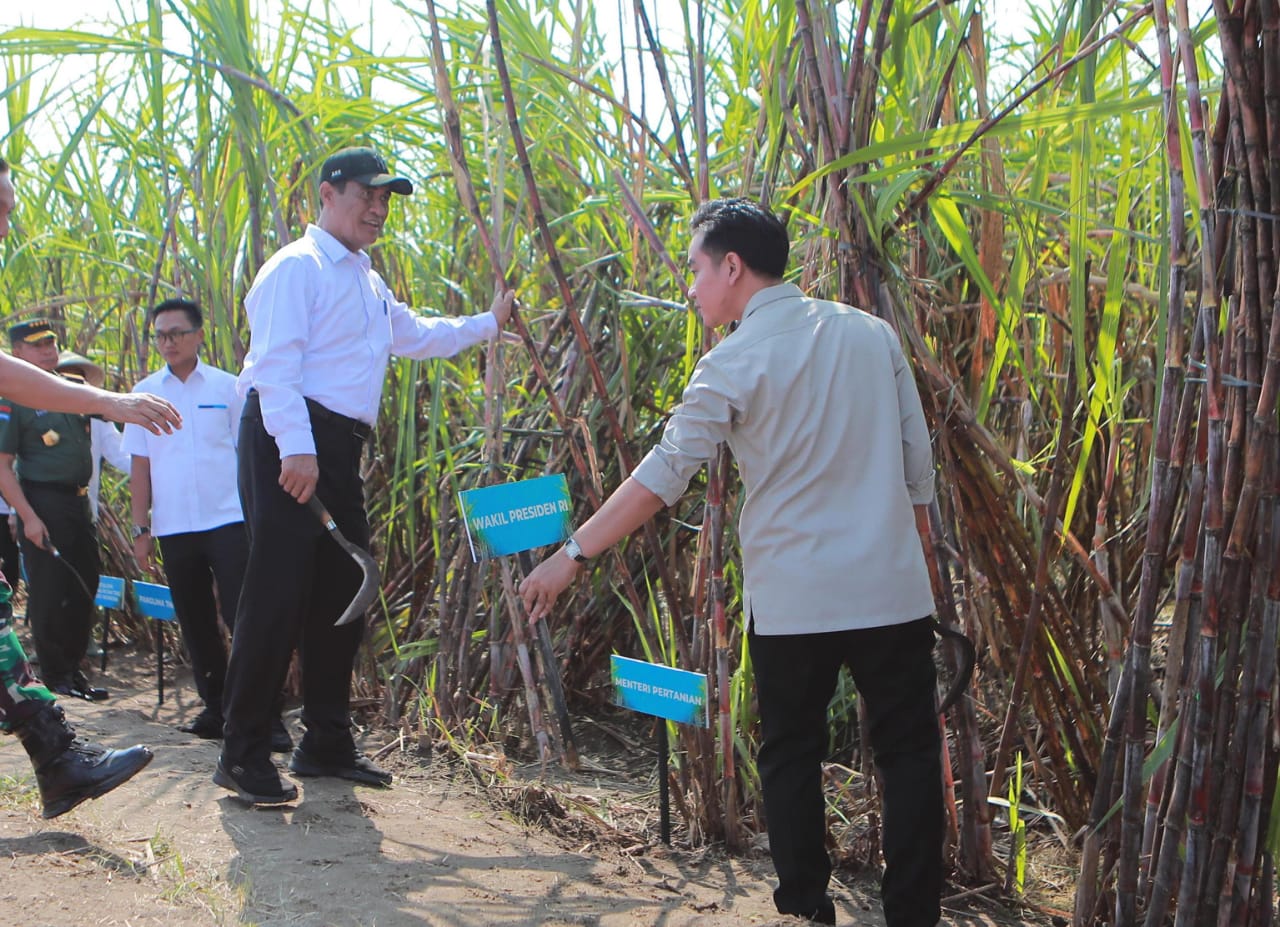 Target Swasembada, Wapres Gibran dan Mentan Amran Tawarkan Solusi untuk Petani Tebu