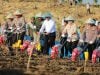 Sinergi Untuk Sektor Pertanian, Kementan-Polri  Kompak Gelar Tanam Jagung Serentak