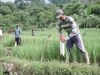 Menteri ATR/BPN akan Canangkan GEMAPATAS Serentak di 23 Kabupaten/Kota