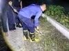 Tengah Malam, Damkar Polman Berhasil Evakuasi Ular dari Permukiman Warga BTN Marwah