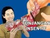 Guru Honorer Dapat Tunjangan Insentif Rp2,1 Juta, Akan Cair Agustus–September 2025